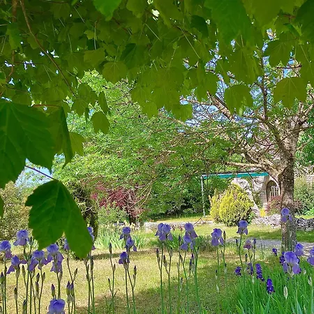 Les Aires De La Carline Mas-Saint-Chely
