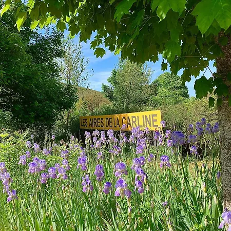 شقة Les Aires De La Carline *