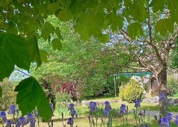 Les Aires De La Carline Mas-Saint-Chely