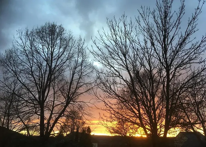 Les Aires De La Carline * Mas-Saint-Chely